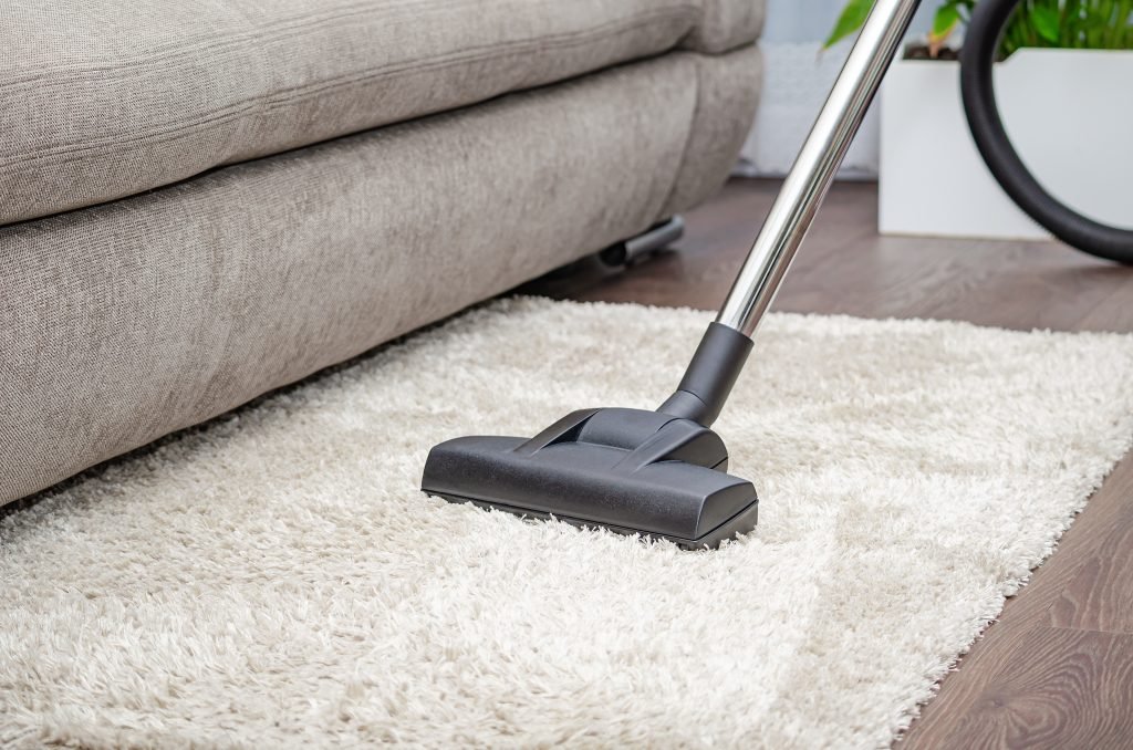Professional carpet cleaning